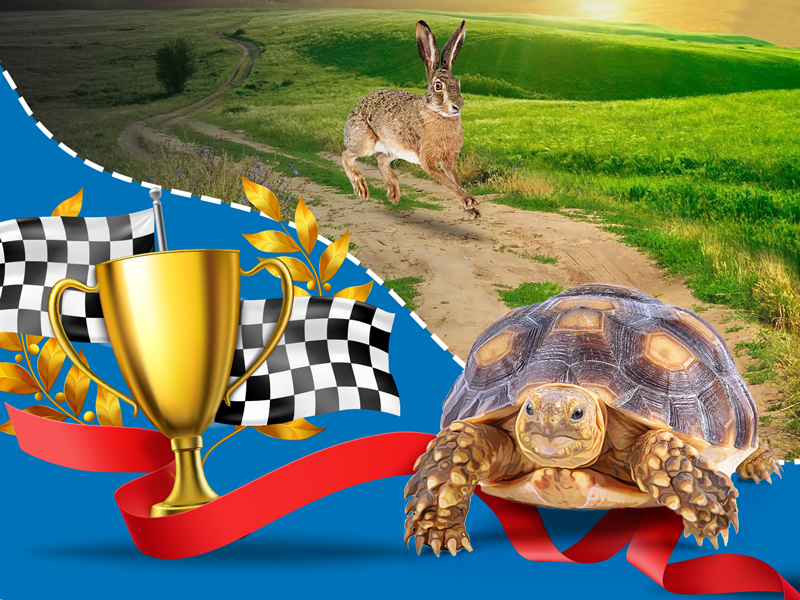 Бизнес-процессы: дорогу осилит идущий 1