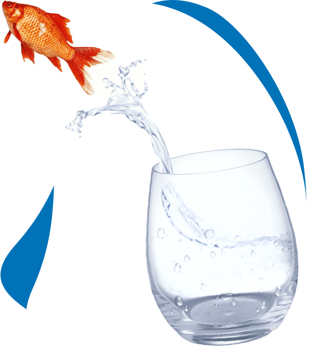 бизнес-процессов, BPM