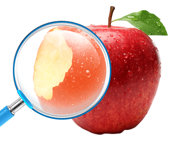 Аудит бизнес-процессов