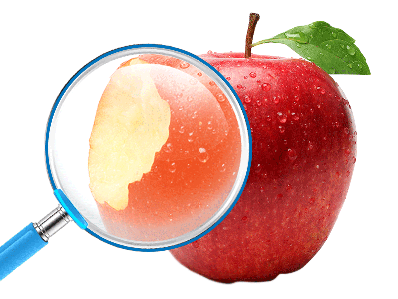 Аудит бізнес-процесів