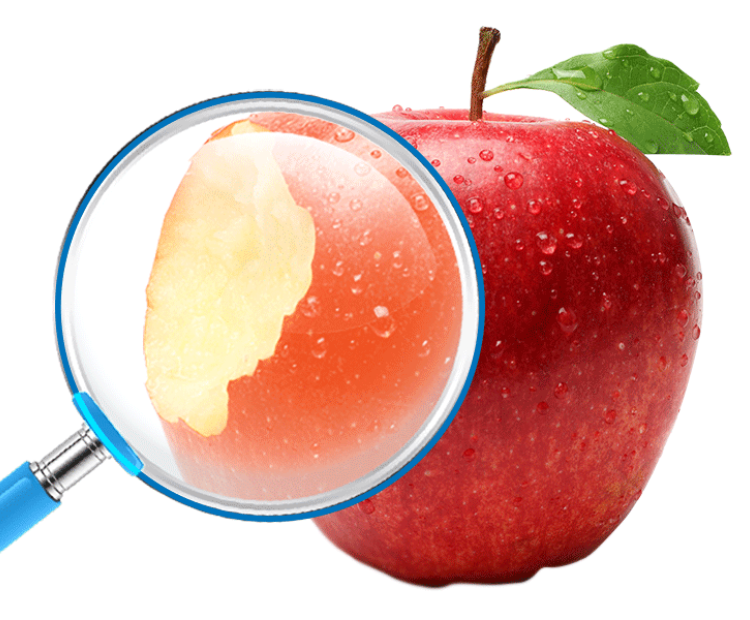 Аудит бізнес-процесів